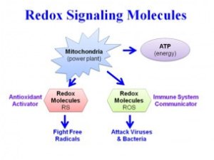 Redox Signaling Molecules